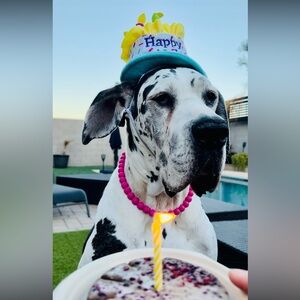 Accepting reasonable offers